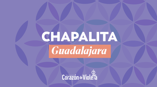 Sucursales | Corazón de Violeta